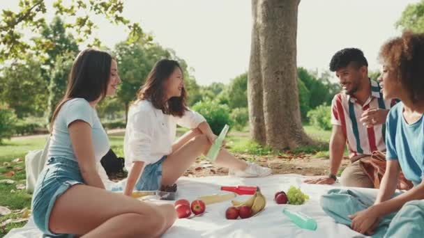 Счастливые Улыбающиеся Молодые Люди Пикнике Летний День Свежем Воздухе Групповые — стоковое видео