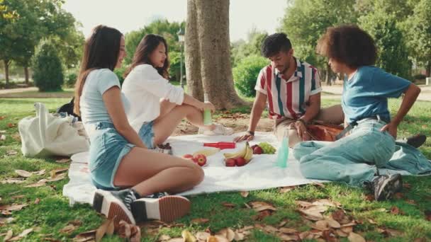 Счастливые Улыбающиеся Молодые Люди Пикнике Летний День Свежем Воздухе Четверо — стоковое видео