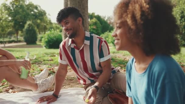 Jovens Felizes Sorridentes Piquenique Dia Verão Livre Grupo Amigos Comendo — Vídeo de Stock