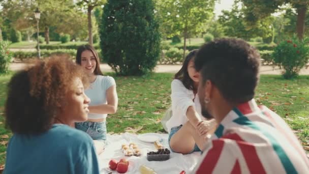 Happy Smiling Young Multinational People Picnic Summer Day Outdoors Four — Wideo stockowe