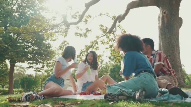 Щасливі Усміхнені Багатоетнічні Молоді Люди Пікніку Літній День Відкритому Повітрі — стокове відео