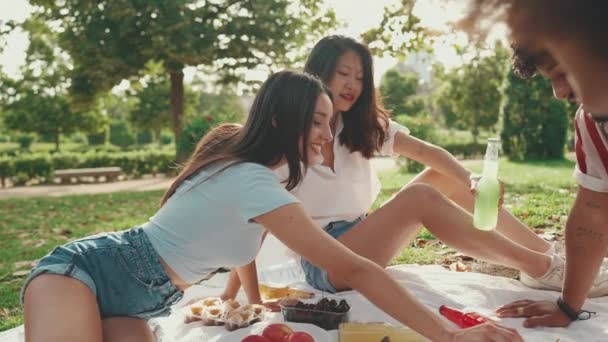 Jóvenes Multiétnicos Felices Sonrientes Picnic Del Día Verano Aire Libre — Vídeo de stock