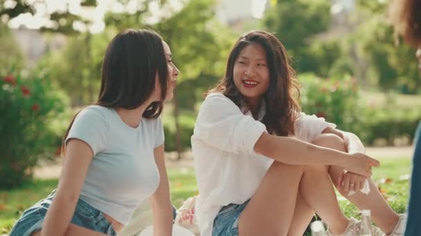 Щасливі Усміхнені Багатоетнічні Молоді Люди Пікніку Літній День Відкритому Повітрі — стокове відео