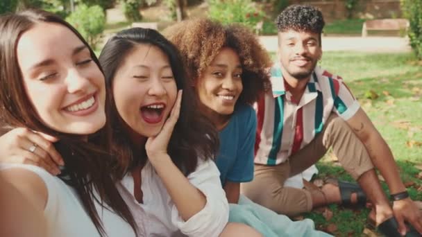 Happy Multiethnic Young People Posing Cellphone Camera Picnic Summer Day — Vídeo de stock