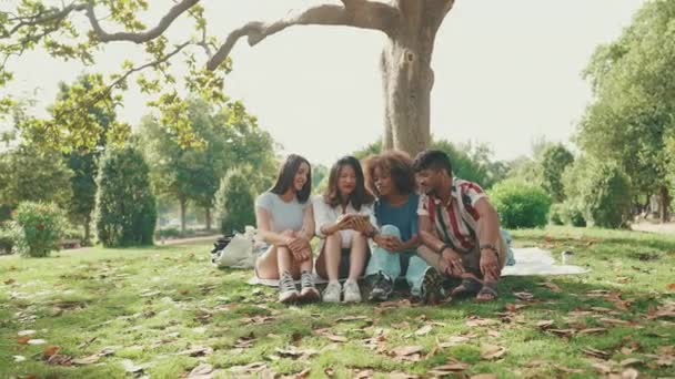 Счастливые Улыбчивые Молодые Люди Пикнике Летний День Улице Группа Друзей — стоковое видео