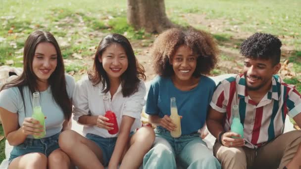 Happy Smiling Multiethnic Young People Picnic Summer Day Outdoors Group — Wideo stockowe