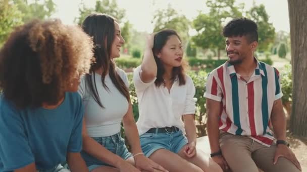 Jovens Multiétnicos Felizes Conversando Enquanto Sentados Banco Parque Dia Verão — Vídeo de Stock