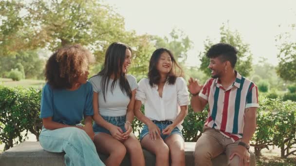 Heureux Jeunes Multiethniques Parlant Tout Étant Assis Sur Banc Parc — Video
