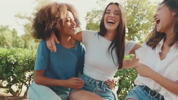 Happy Multiethnic Young Women Talking While Sitting Park Bench Summer — Stockvideo