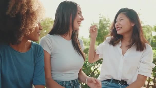 Happy Multiethnic Young Women Talking While Sitting Park Bench Summer — Video Stock