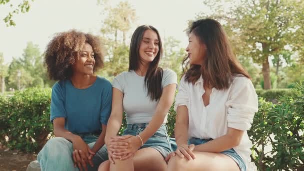 Happy Multiethnic Young Women Talking While Sitting Park Bench Summer — 图库视频影像