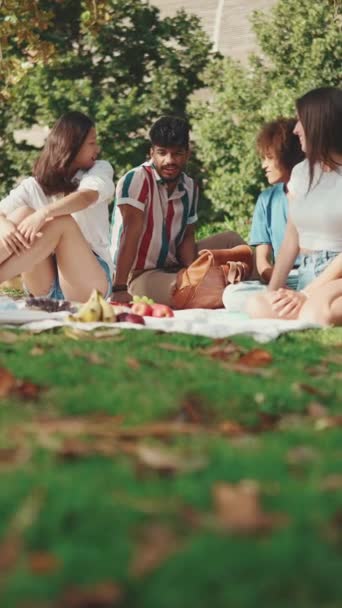 Vertical Video Happy Smiling Young Multinational People Picnic Summer Day — Video Stock