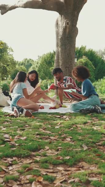 Video Vertical Jóvenes Multiétnicos Felices Picnic Día Verano Aire Libre — Vídeos de Stock