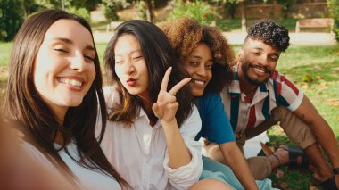 Happy multiethnic young people posing for the camera at picnic on summer day outdoors. Group of friends looking at the camera and laughing merrily