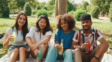 Mutlu, çoklu etnik çeşitlilikte gülümseyen gençler yaz günü açık havada piknik yapıyorlar. Bir grup arkadaş içkiyle eğleniyor, piknikte parkta dinlenirken kadeh kaldırıyor.