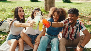 Happy, smiling multiethnic young people at picnic on summer day outdoors. Group of friends having fun with drinks, raising toasts while relaxing in the park at picnic