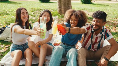 Happy, smiling multiethnic young people at picnic on summer day outdoors. Group of friends having fun with drinks, raising toasts while relaxing in the park at picnic