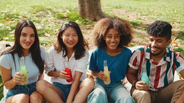 Happy, smiling multiethnic young people at picnic on summer day outdoors. Group of friends having fun with drinks, raising toasts while relaxing in the park at picnic