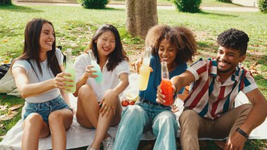 Happy, smiling multiethnic young people at picnic on summer day outdoors. Group of friends having fun with drinks, raising toasts while relaxing in the park at picnic