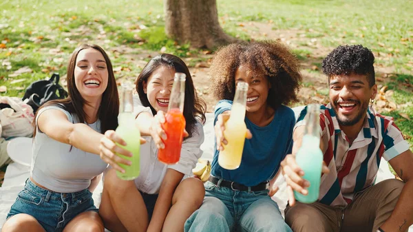 Happy, smiling multiethnic young people at picnic on summer day outdoors. Group of friends having fun with drinks, raising toasts while relaxing in the park at picnic
