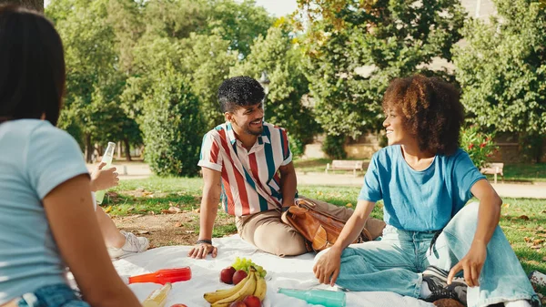 Happy Smiling Young Multinational People Picnic Summer Day Outdoors Friends — Stockfoto