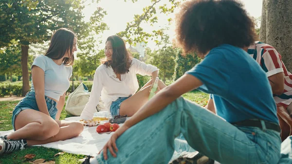 Happy Smiling Young Multinational People Picnic Summer Day Outdoors Friends — 스톡 사진