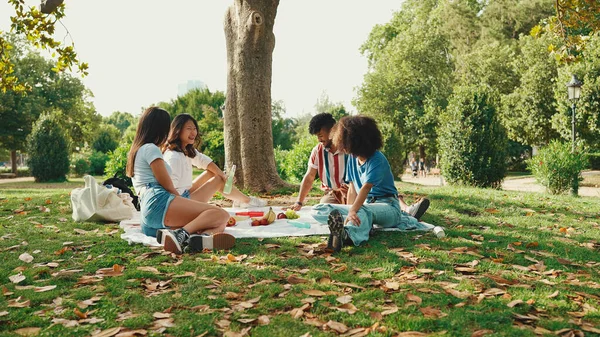 Happy Smiling Young Multinational People Picnic Summer Day Outdoors Friends — Stockfoto
