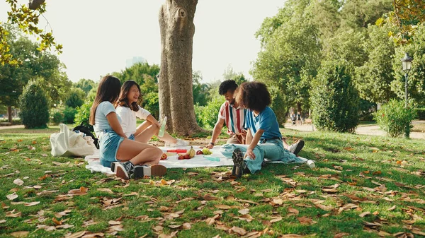 Vrolijk Lachende Jonge Multinationale Mensen Tijdens Picknick Zomerse Dag Buiten — Stockfoto