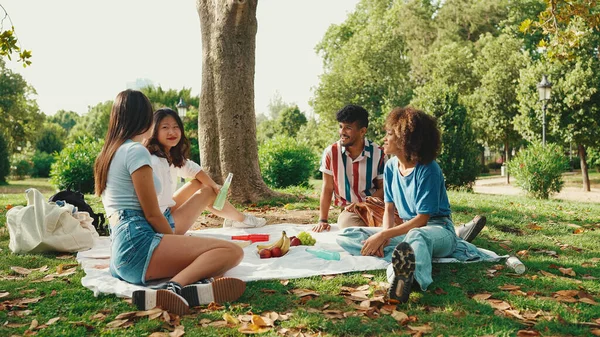 Vrolijk Lachende Jonge Multinationale Mensen Tijdens Picknick Zomerse Dag Buiten — Stockfoto