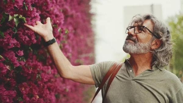 Dost canlısı, orta yaşlı, gri saçlı, sakallı sıradan kıyafetler giyen, arka planda mor çiçekli bir duvar olan bir adam. Gözlüklü olgun bir beyefendi çiçeklere bakıyor.