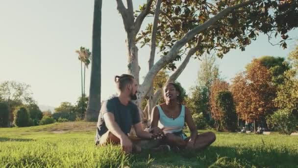 Happy Smiling Interracial Couple Talking While Sitting Grass Park Backlight — ストック動画