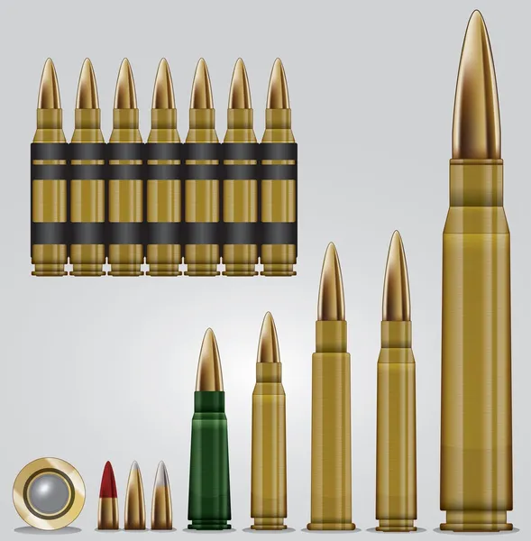 Conjunto de munições de espingarda —  Vetores de Stock