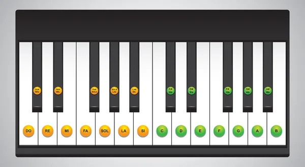 Piano keys chart — Stock Vector