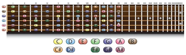 Cuadro del diapasón de guitarra — Archivo Imágenes Vectoriales