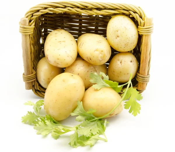 Diverse patate intere — Foto Stock