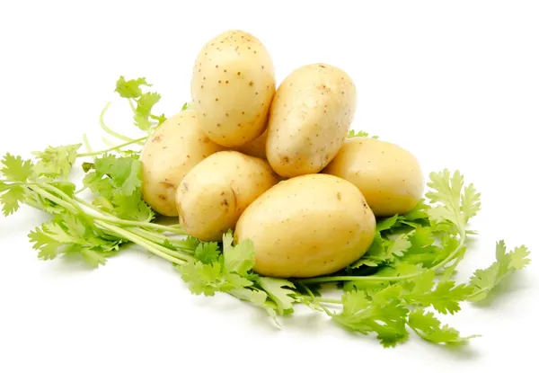 Diverse patate intere — Foto Stock