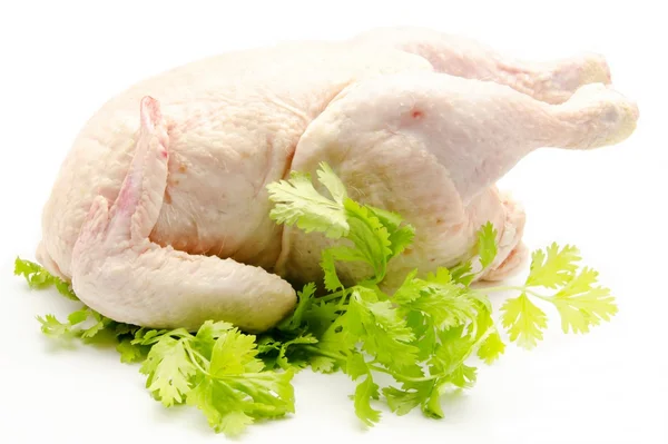 Rå hel kyckling — Stockfoto