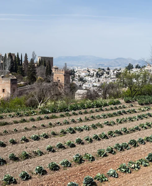 Alhambra wieża — Zdjęcie stockowe