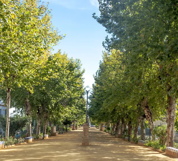 Alameda. — Fotografia de Stock