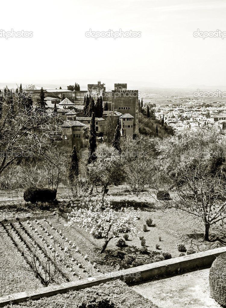 Nasrid monument of the Alhambra