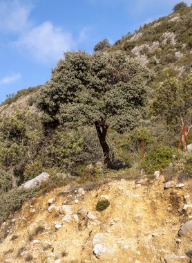 Grazalema Sıradağları