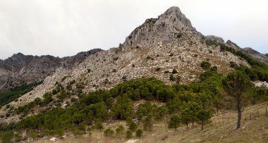 Grazalema Sıradağları