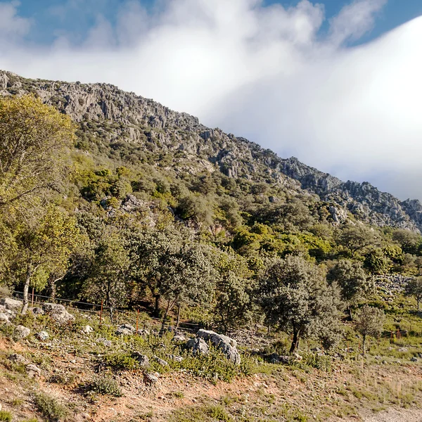 Chaîne de montagnes Grazalema — Photo