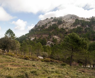 Grazalema Sıradağları