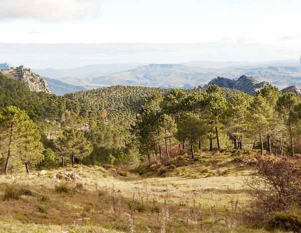 Grazalema berg — Stockfoto