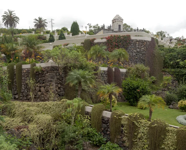 Parque con plantas — Foto de Stock