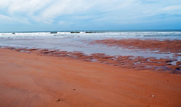 Пляж с камнями — стоковое фото