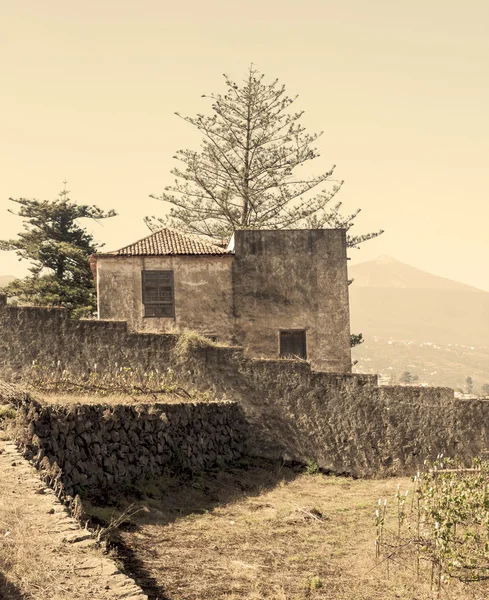 Albero dei cervi — Foto Stock