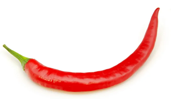 Chili rojo — Foto de Stock