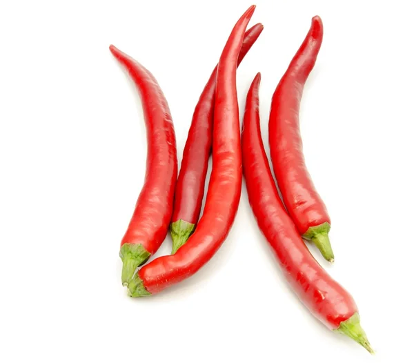 Červené chilli — Stock fotografie